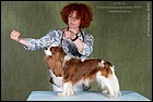 ANGELGIN BRITON КЧК (2).jpg